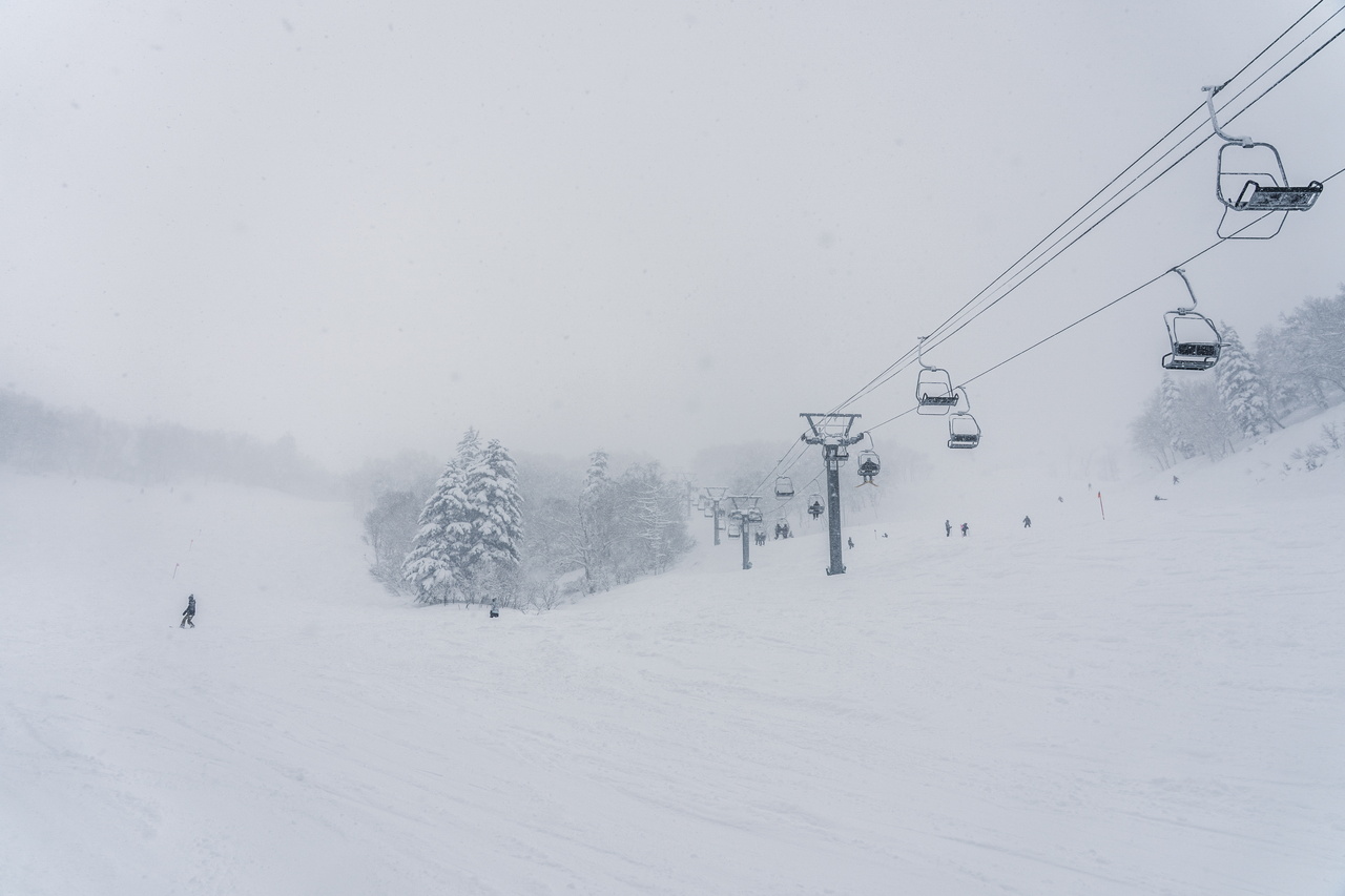 富良野スキー場｜数字以上に良い雪たっぷり！いよいよ『bonchi powder』本領発揮の季節到来です！
